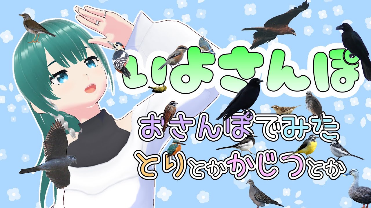 【 #いよさんぽ 】朝のお散歩で見た生き物を紹介！今年もそろそろラストスパート！【 #38 】
