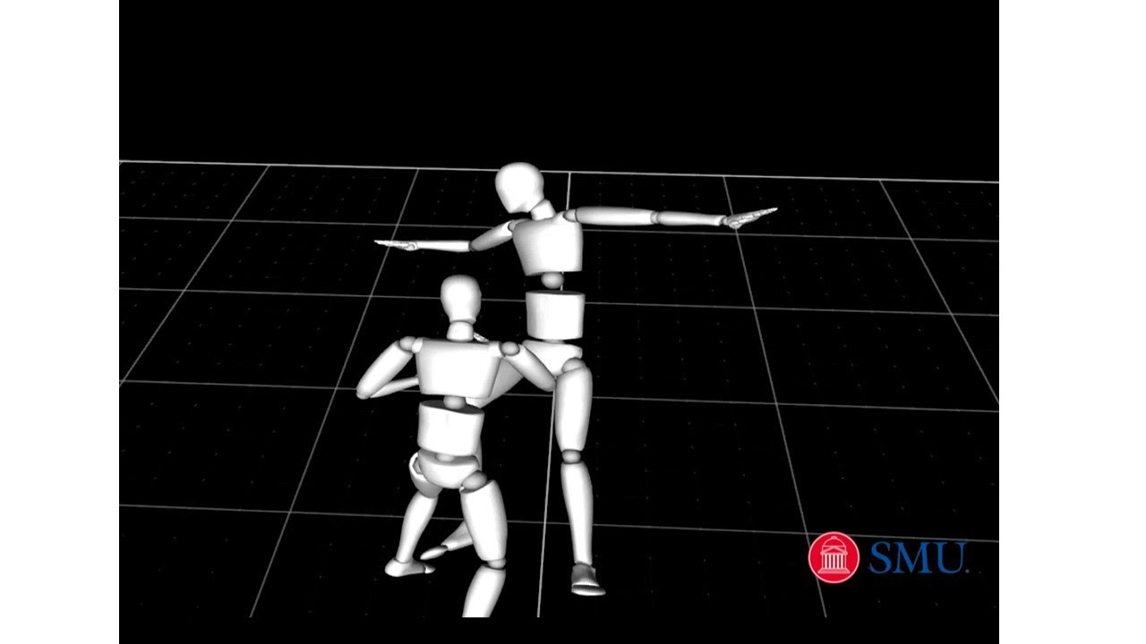 Basketball Biomechanics - The Physics of Flopping