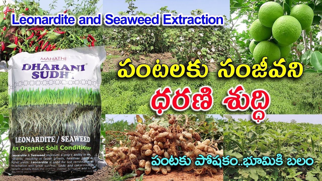 పంటలకు సంజీవని ధరణి శుద్ధి || Dharani Sudhi An Organic Soil Conditioner || Karshaka Mitra