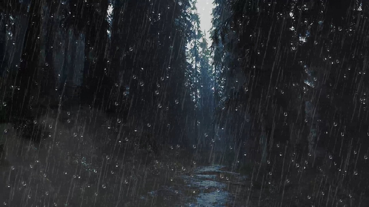 Soothing Rain Sounds in the Forest for Sleeping, Relaxing, and Studying | 8 Hours of Rain Sounds
