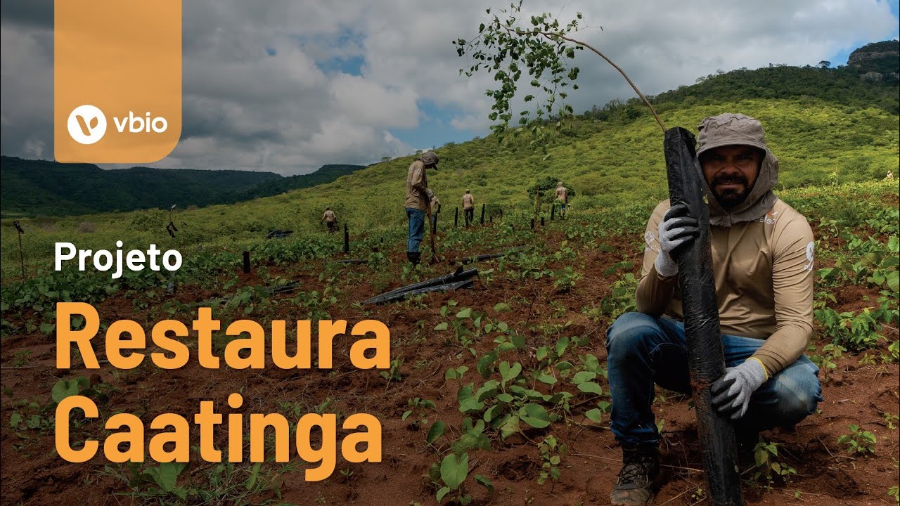 Projeto Restaura Caatinga