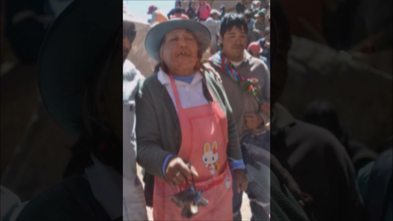 Limpieza de los canales Atacameños
