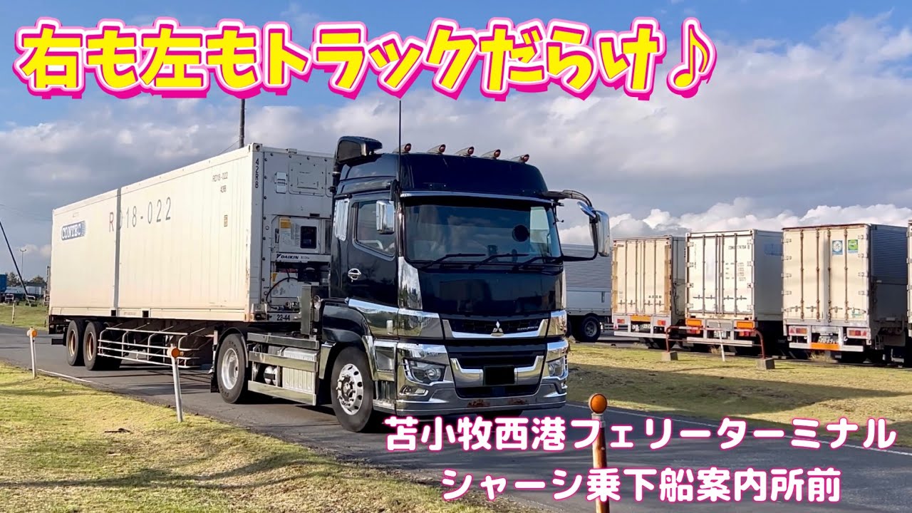 トラック動画🚚／シャーシ乗下船案内所（苫小牧西港フェリーターミナル）／FUSO／HINO／UD／ISUZU／VOLVO／2025.9.15