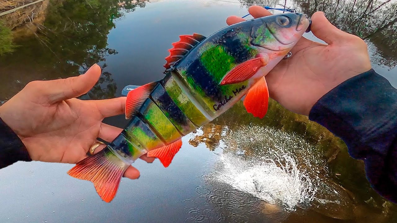 16inch and 19oz GIANT swimbait gets crushed! *BIG BAIT BIG FISH*