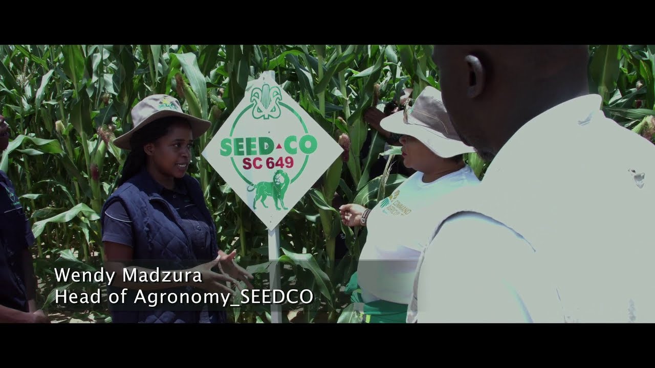 Wendy Madzura [Head of Agronomy Seed Co] Smart Agronomics