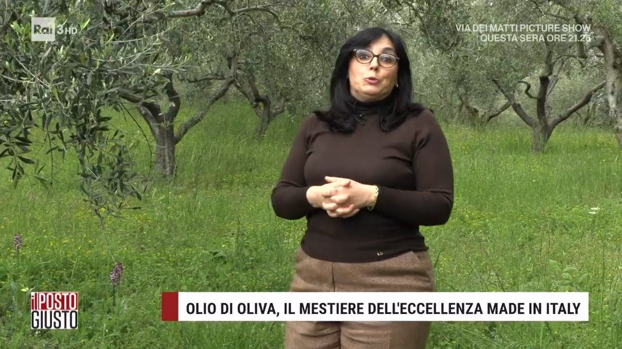 Olio di oliva, il mestiere dell’eccellenza made in Italy -  Il posto giusto 05/06/2022