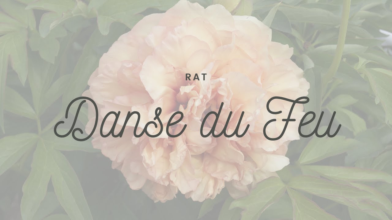 2022 Bloom Season - Danse du Feu (Rat)
