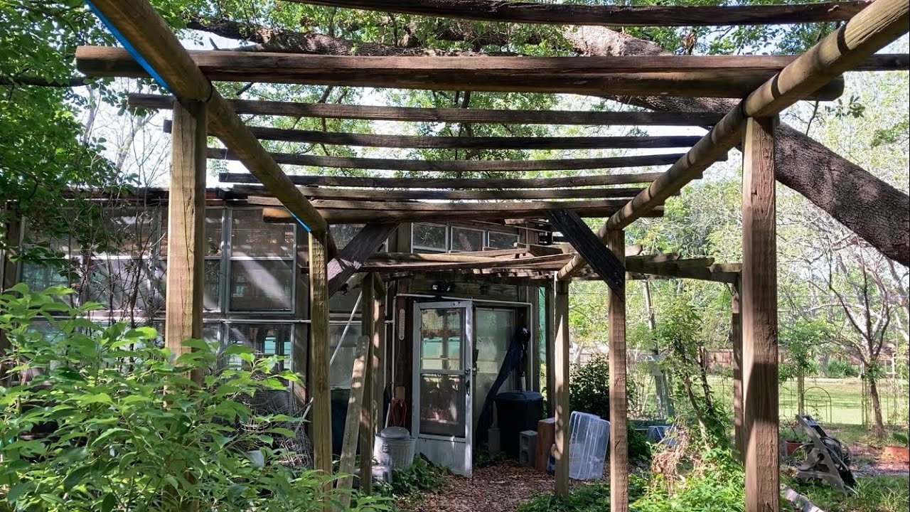 Tour of William Youngblood’s Greenhouse and 38 Rescue Orchids Added to Collection: Trip1