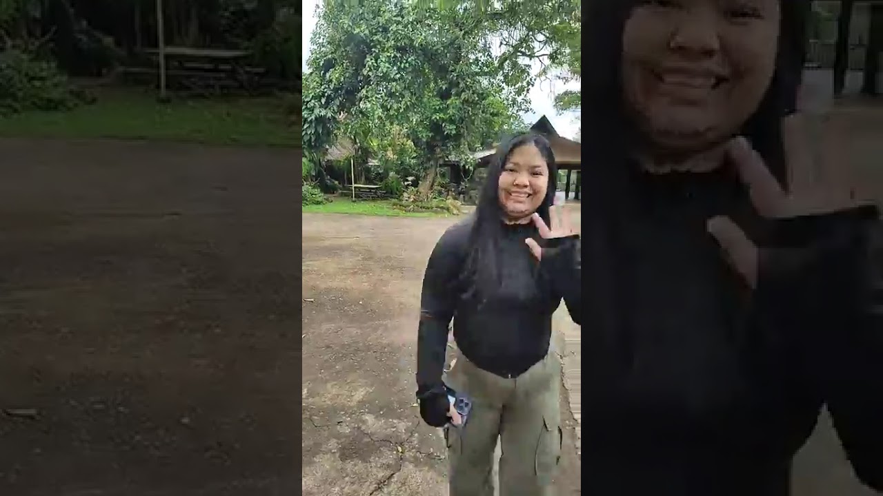 Batis Aramin