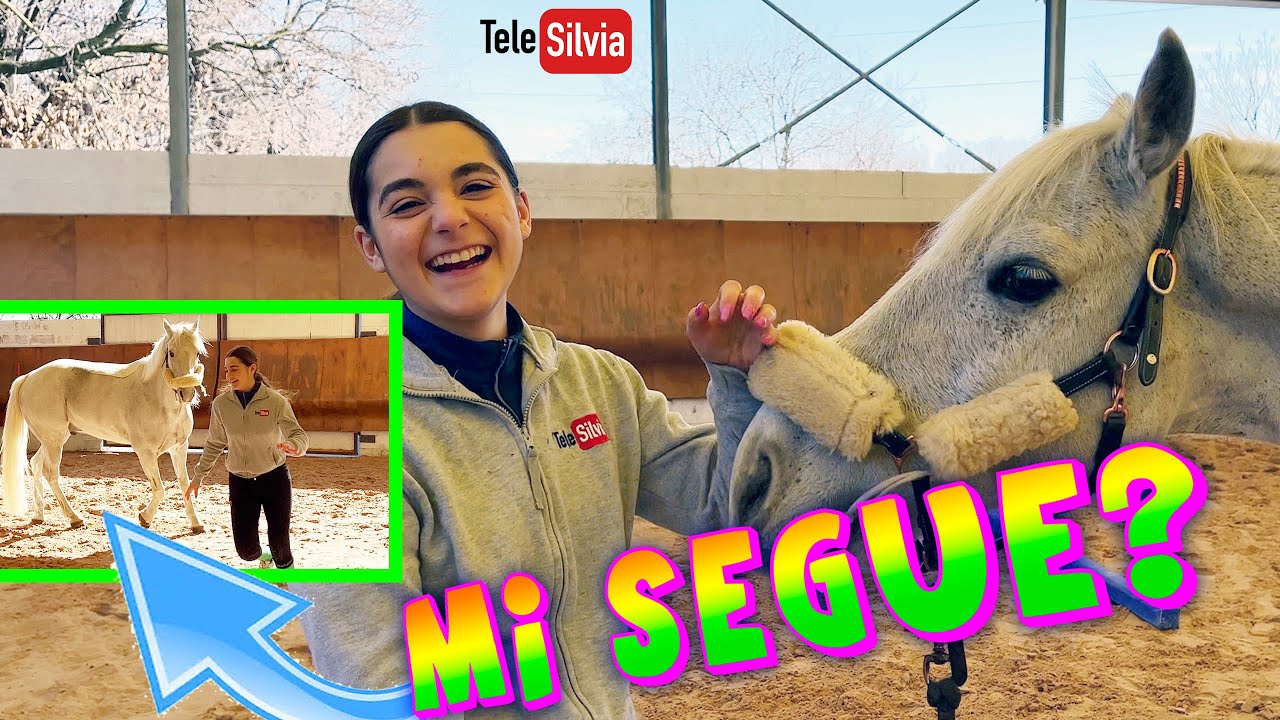VLOG GIOCO COL MIO PONY PAT - SCOPRIAMO QUANTO MI SEGUE?