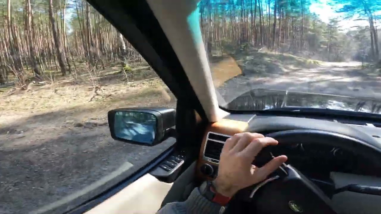 Przejazd przez las - Range Rover L322 m57 3.0 td6 POV ✅🚙