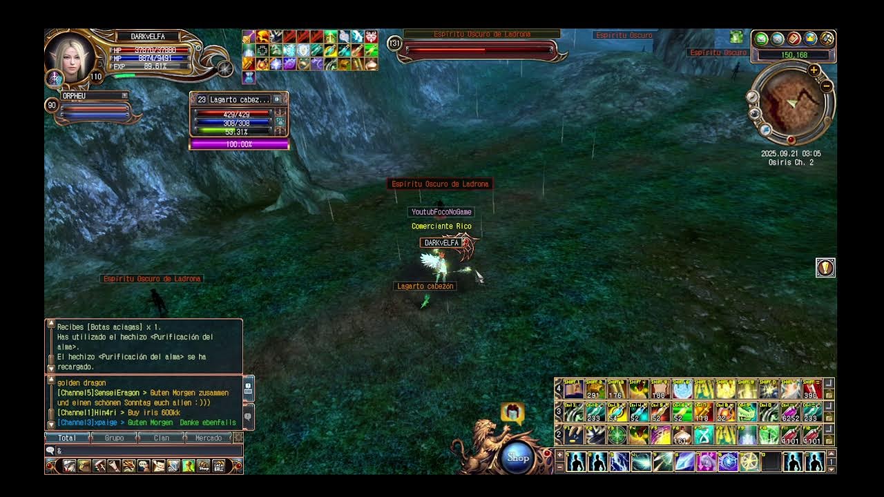 LAST CHAOS FAWKES GAMES - HEALER CLERIGA LV100 + UPP