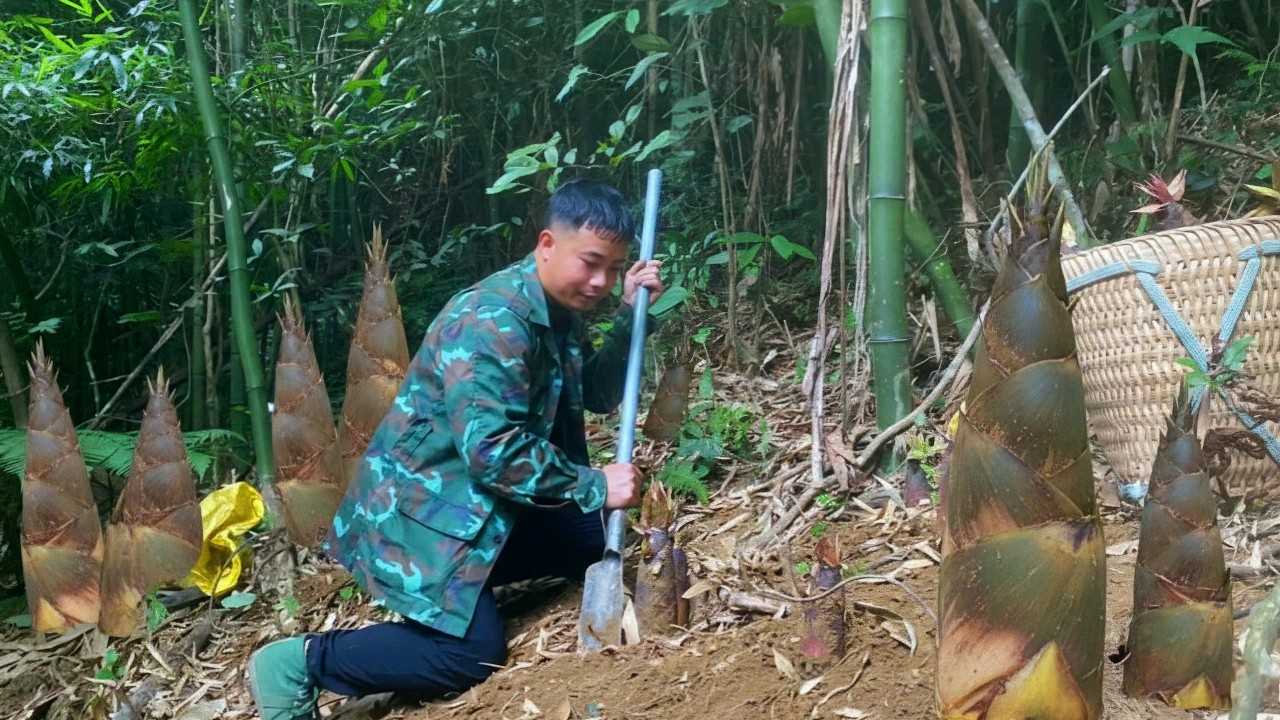 A day of abundant bamboo shoot harvest. Salted bamboo shoots, enough to last for a month.
