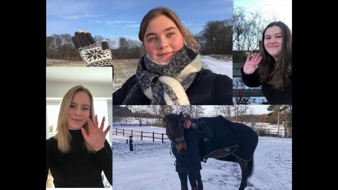 Ridelærernes hverdag