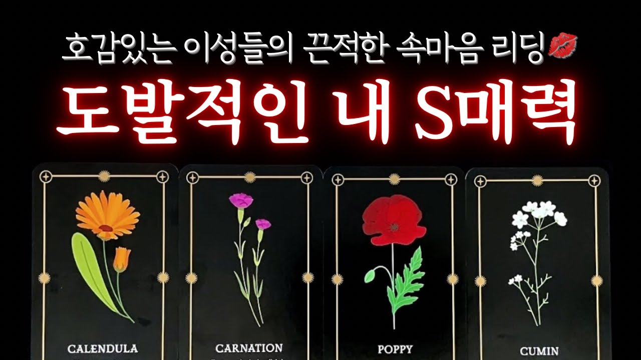 [타로] 🌷나에게 호감있는 이성들의 욕망💋 은밀한 상상🔥스킨십 상상🔥그에 맞는 스킬법❗ #타로 #매력타로 #애정운 