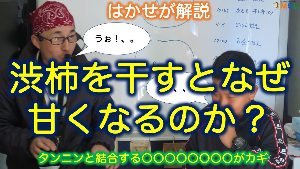 はかせが解説「渋柿を干すとなぜ甘くなるのか？」タンニンと結合する〇〇〇〇〇〇〇〇がカギ