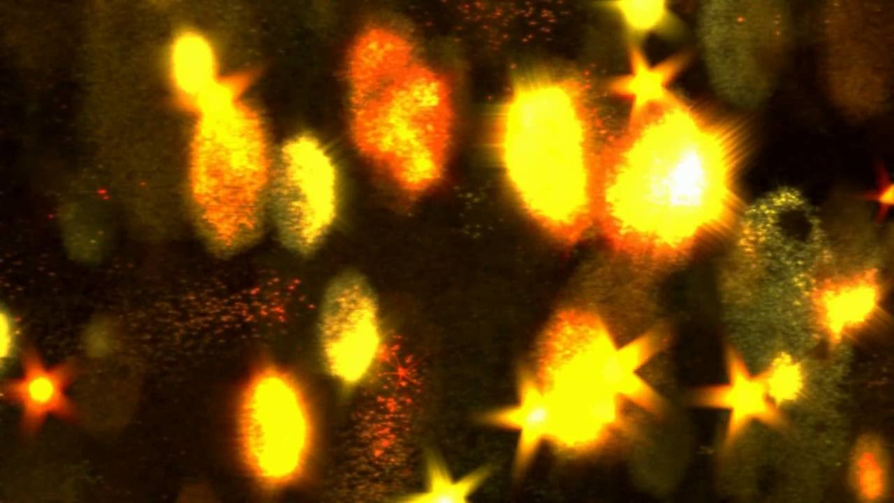 Bokeh Animation final