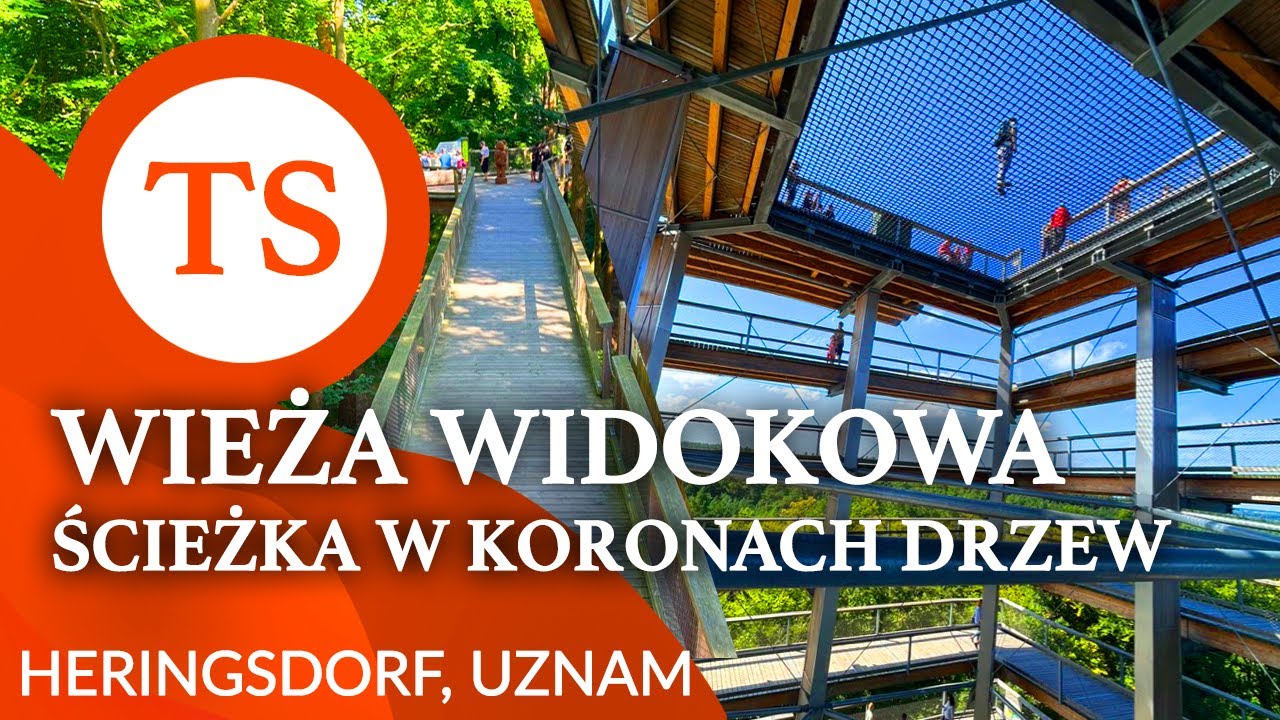 Wieża widokowa i ścieżka w koronach drzew + lotnisko Heringsdorf, Uznam