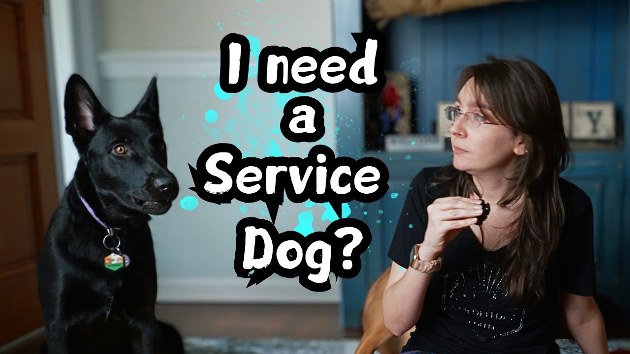 Am I Disabled Enough to Need a Service Dog?