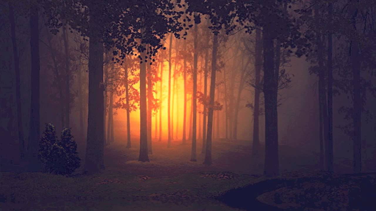 Till Death - The Dark Woods
