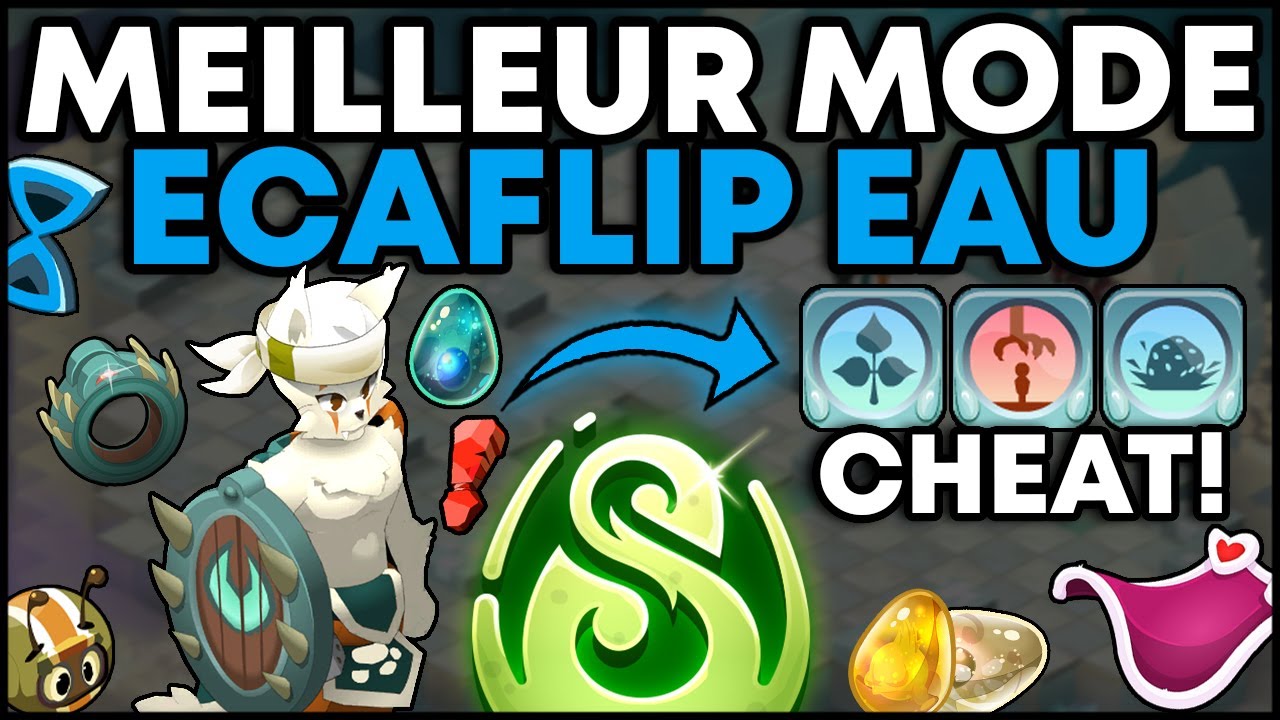L'ECAFLIP EAU est TROP FORT sur DOFUS ! (BARAKA + REKOP BROKEN)