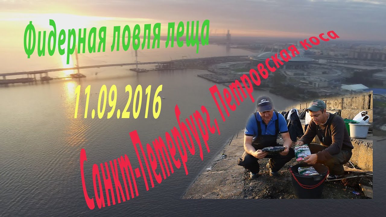 Фидер. Ловля леща 11.09.2016 Санкт-Петербург, Петровская коса.