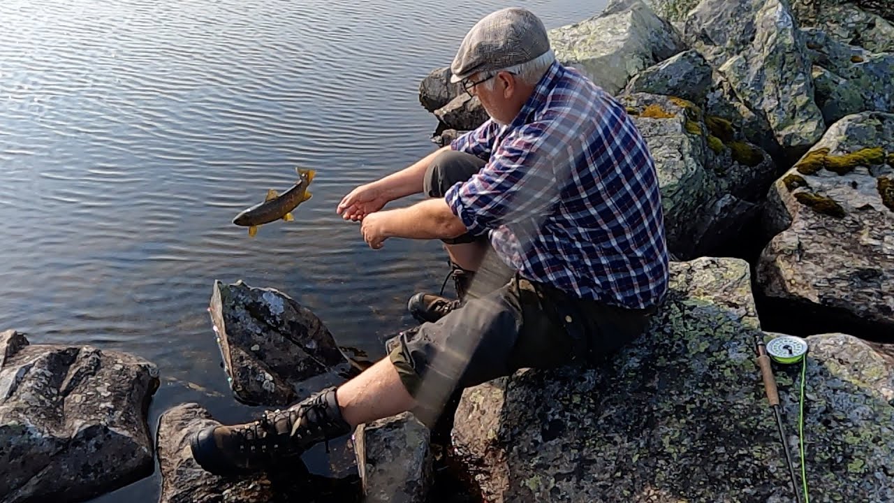 Morgon mellan fjällen