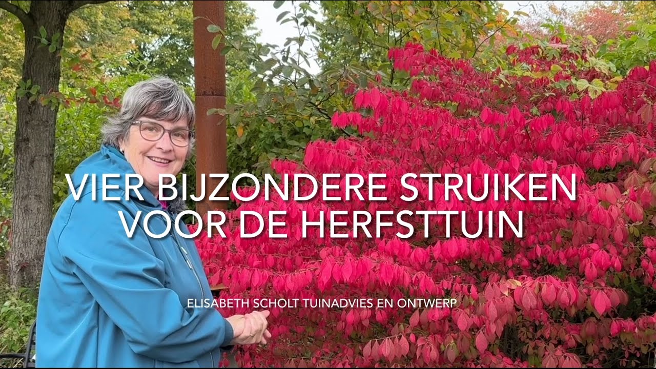 VIER BIJZONDERE STRUIKEN VOOR DE HERFSTTUIN