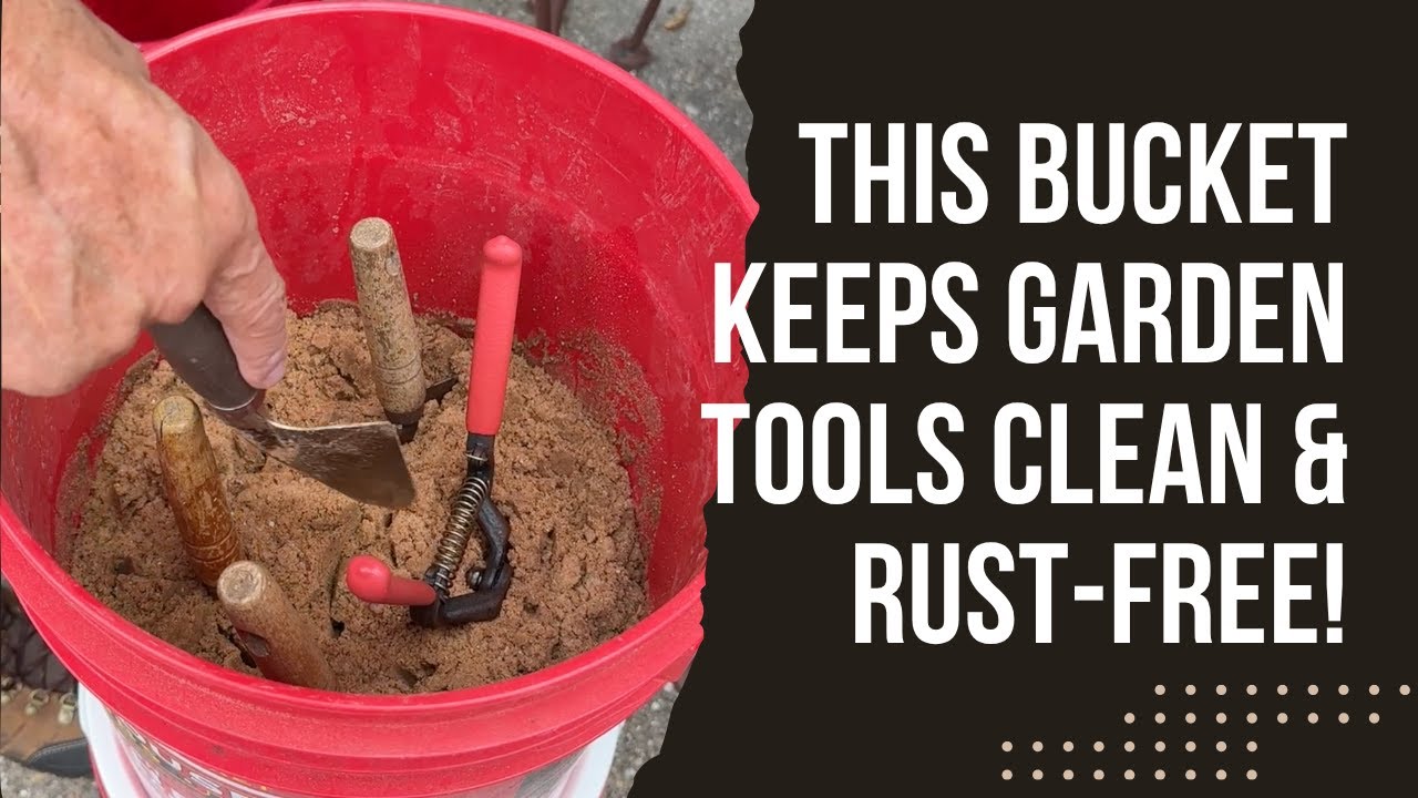 This Bucket Keeps Garden Tools Clean & Rust-Free! 🪣🌿 DIY Hack Every Gardener Should Know