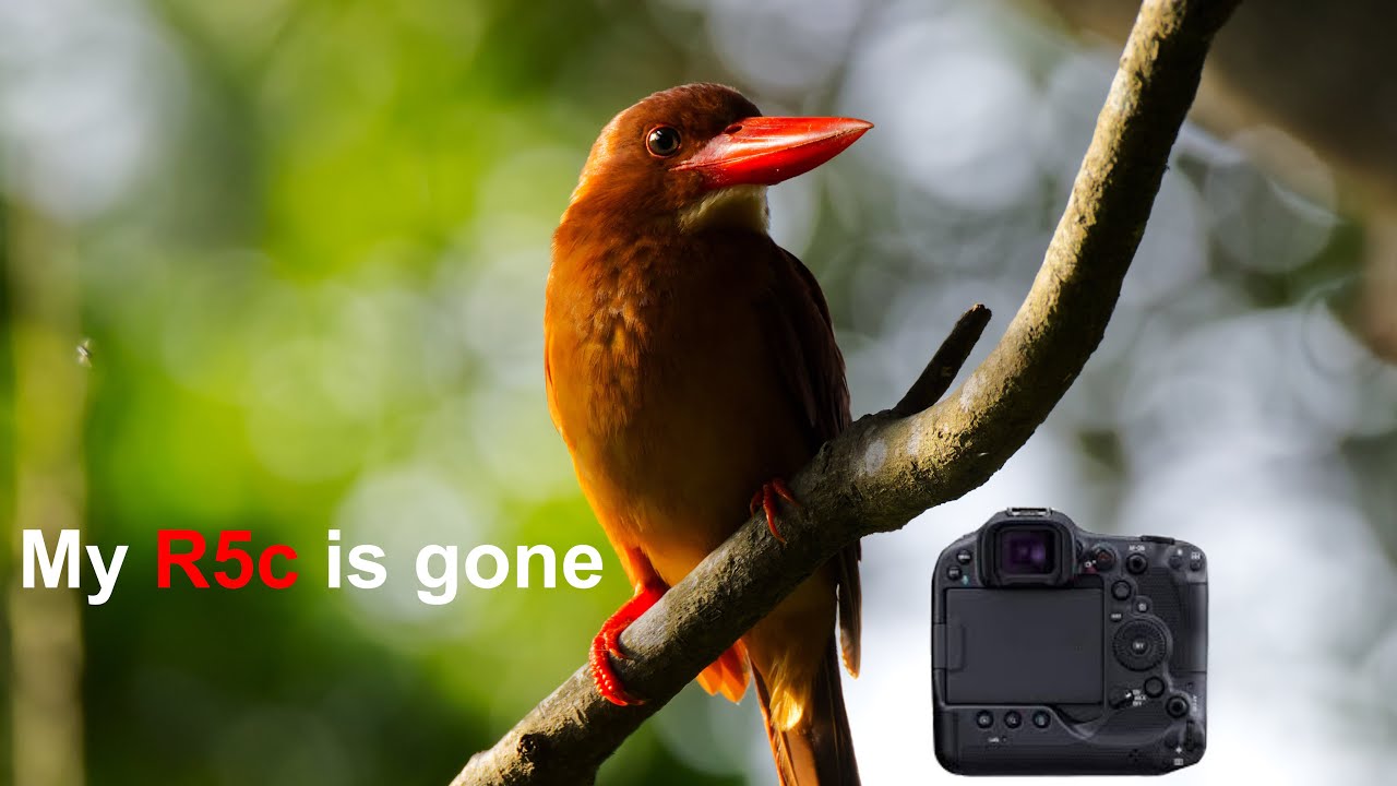 R5c you will be missed