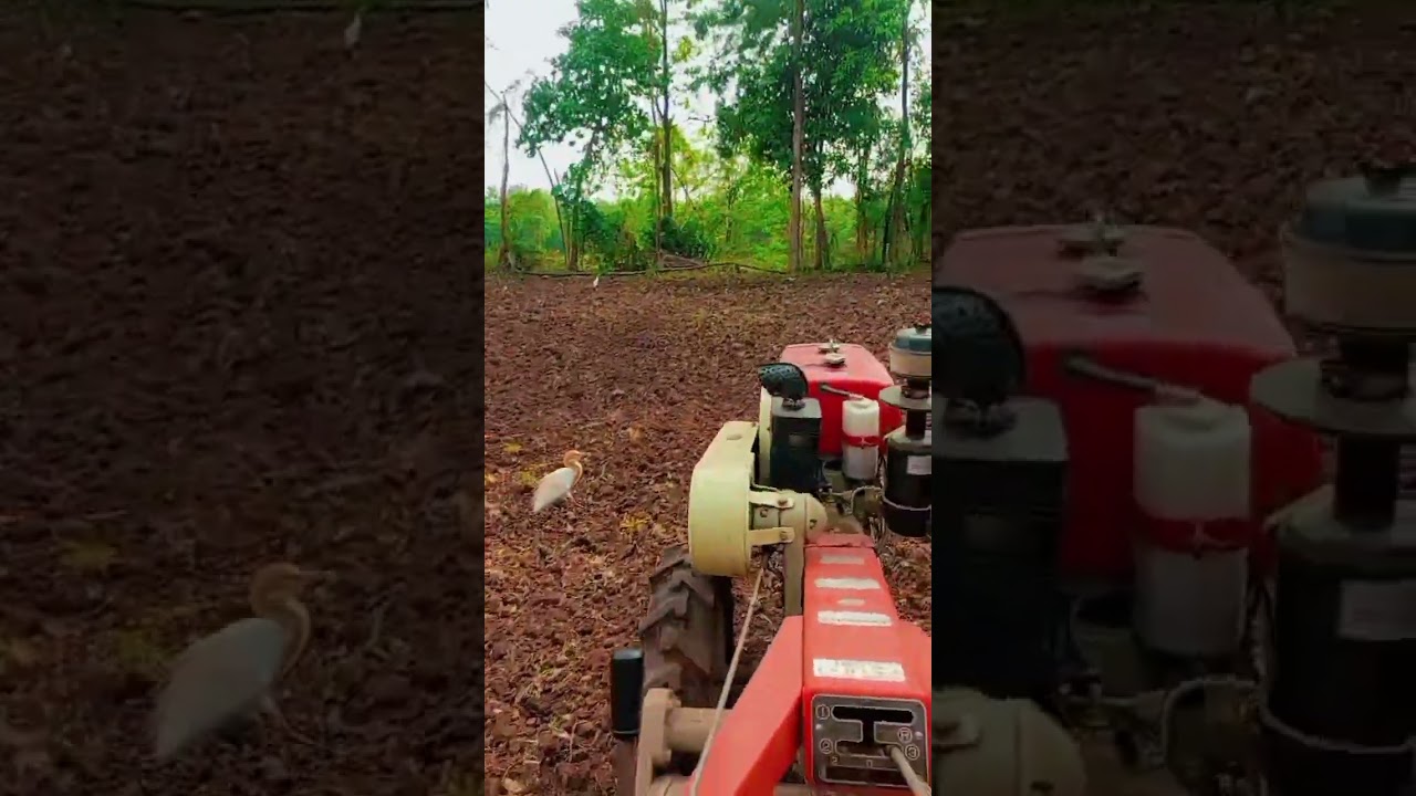 vst shakti 130 di power tiller #farmequipment