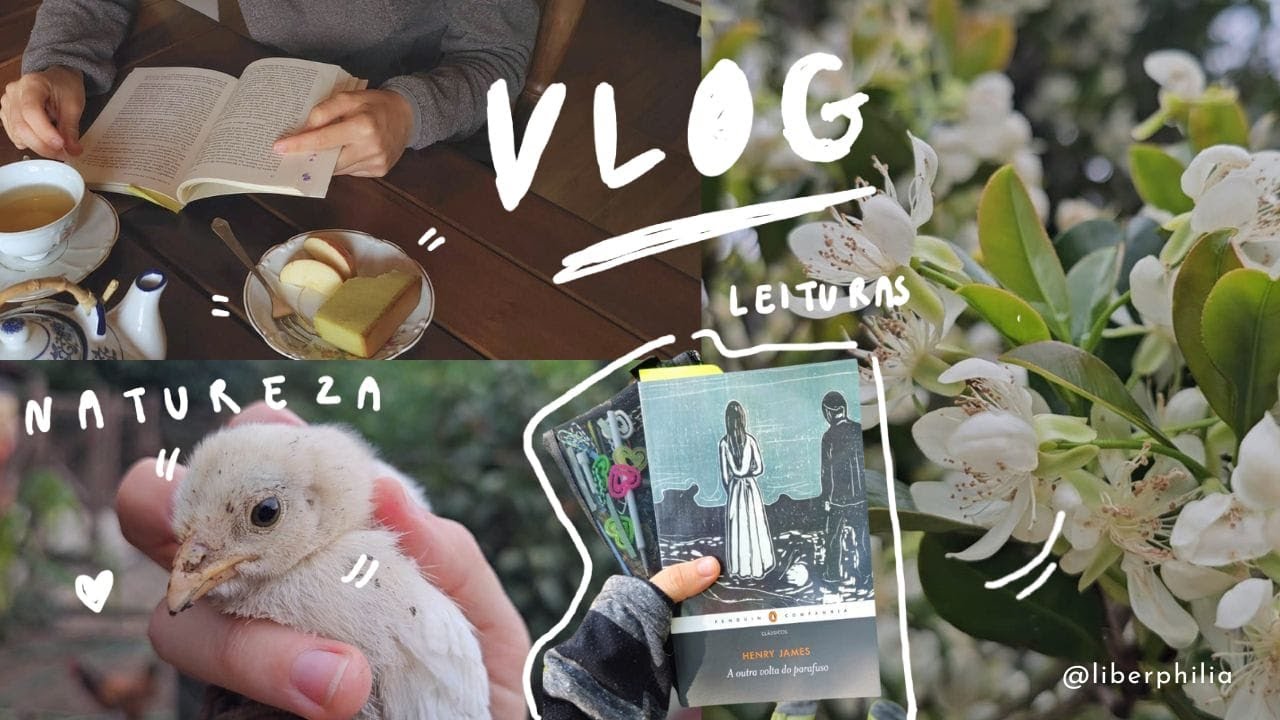 vlog | 🌿 criando momentos de aconchego e calma na rotina