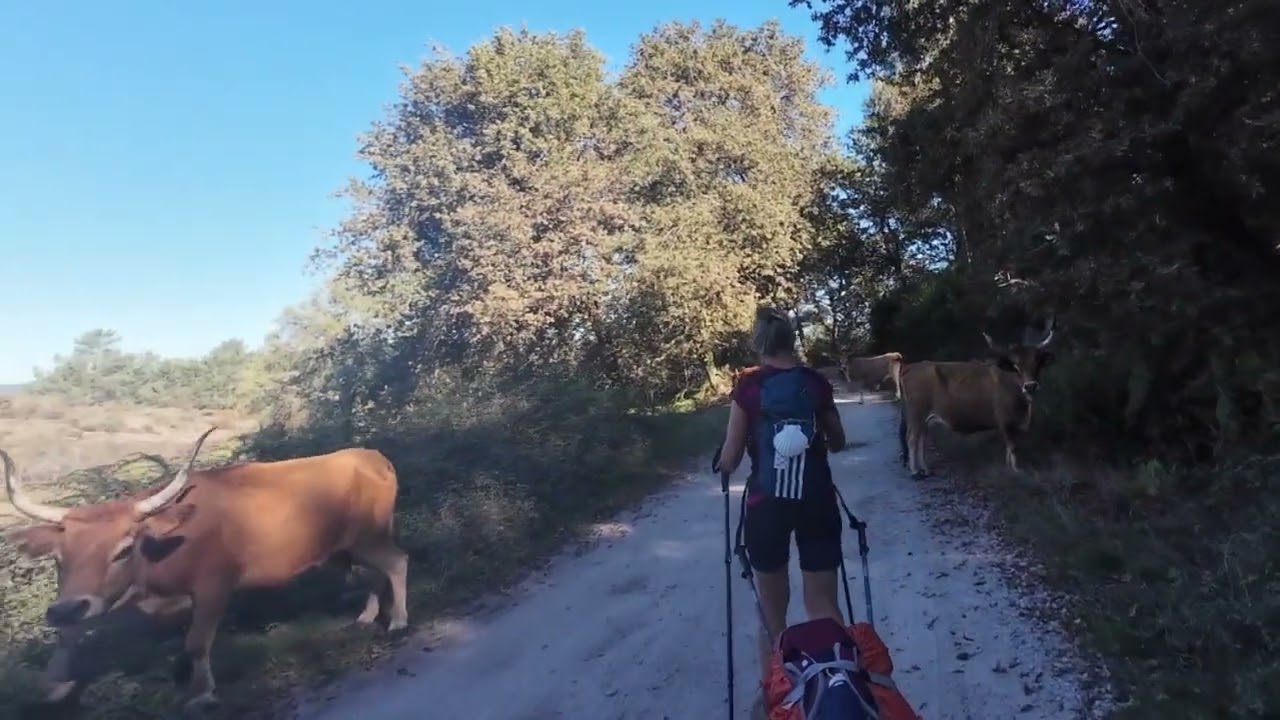  Caminho da Geira y dos Arreiros, #2 : On en bave !