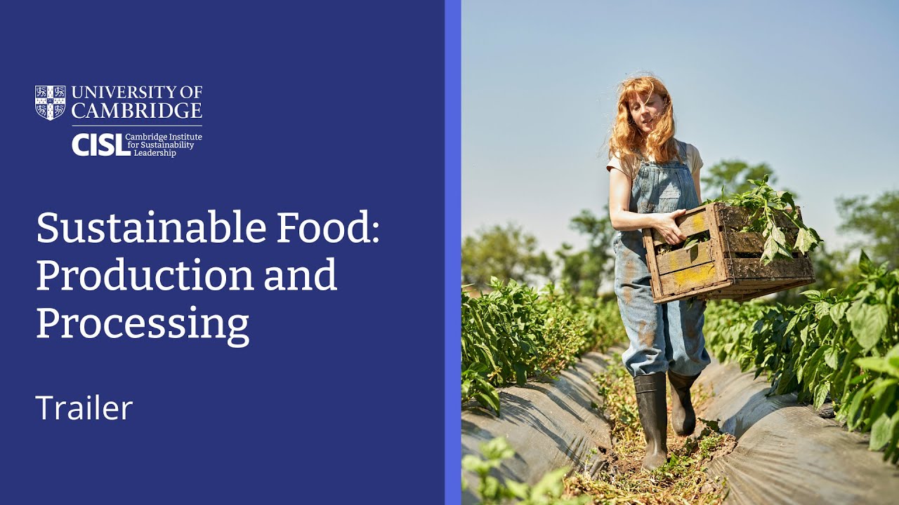 University of Cambridge Sustainable Food: Production and Processing Online Short Course | Trailer