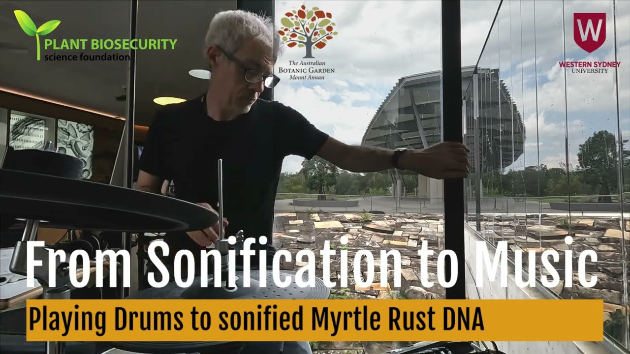 Myrtle Rust Never Sleeps! - Playing drums to audio from Myrtle Rust DNA sequences
