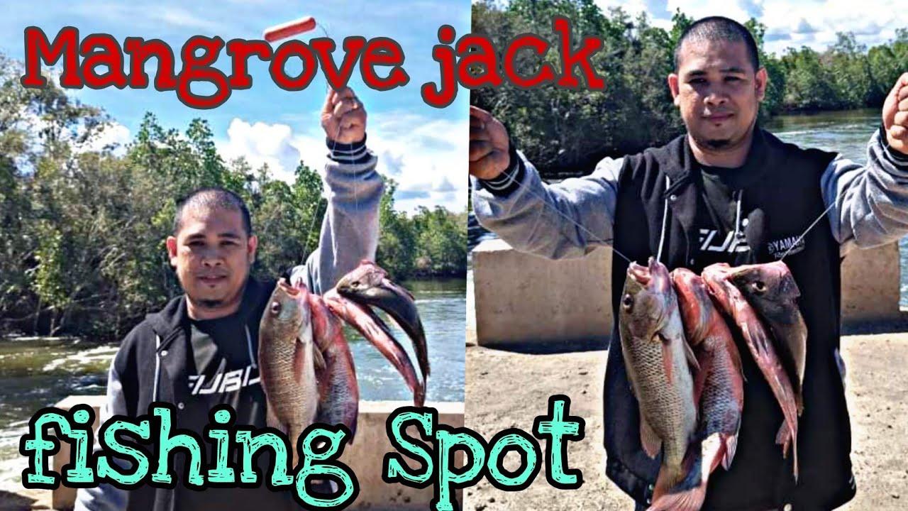 Effective lure and Best spot for Mangrove Snapper..