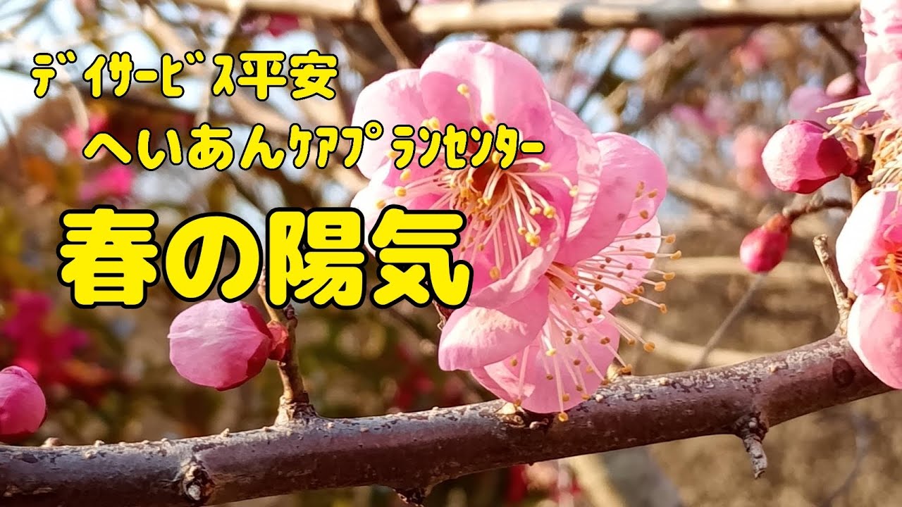 【Vlog773】ﾃﾞｲｻｰﾋﾞｽ平安　へいあんｹｱﾌﾟﾗﾝｾﾝﾀｰ  春の陽気