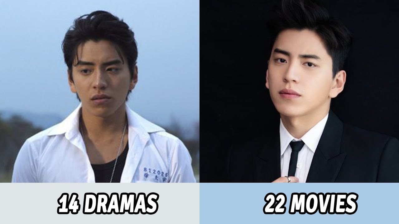 All Dramas and Movies of Darren Wang | Darren Wang Dramas and Movies (2008-2024)