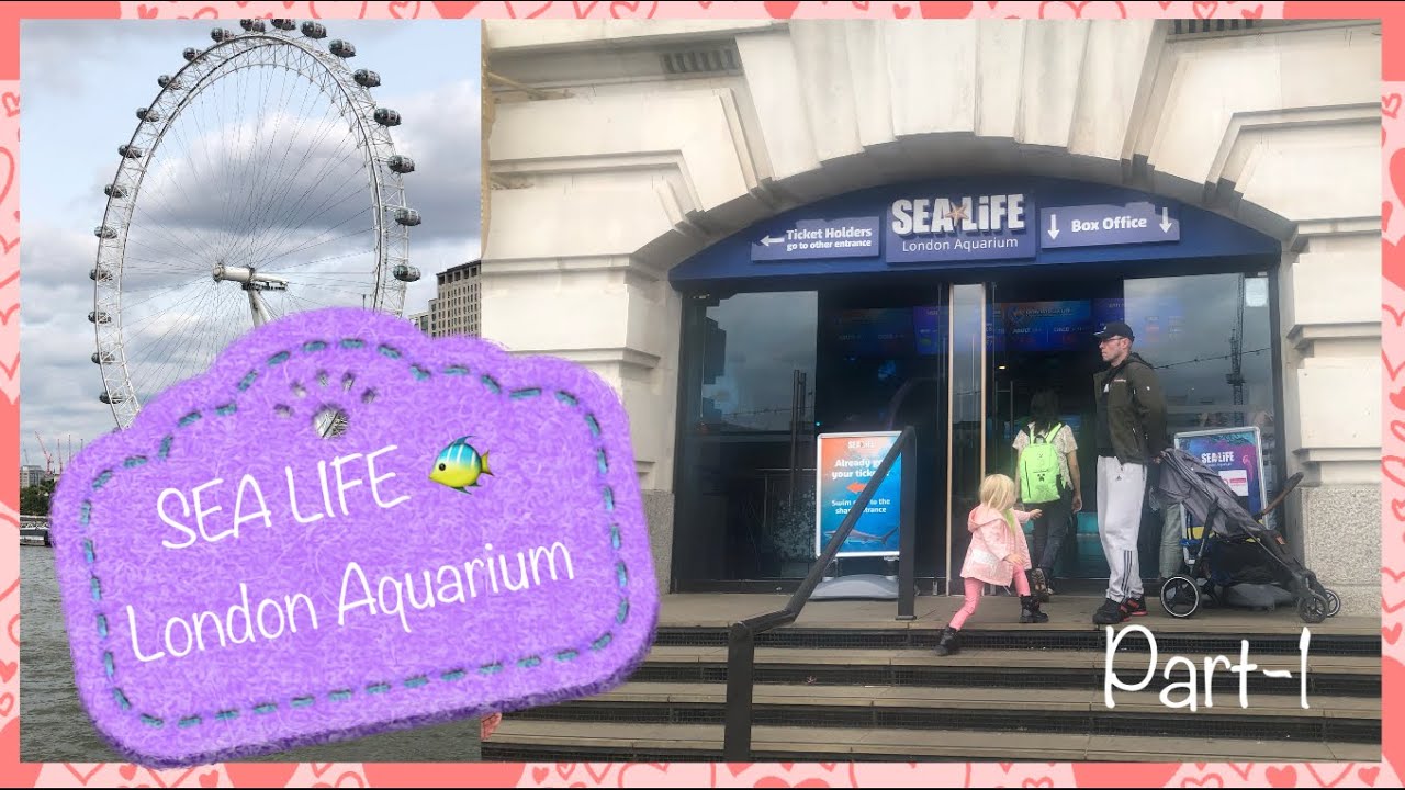 Come with me to visit “SEALIFE LONDON AQUARIUM” In Central London//Perfect pace to visit part-1