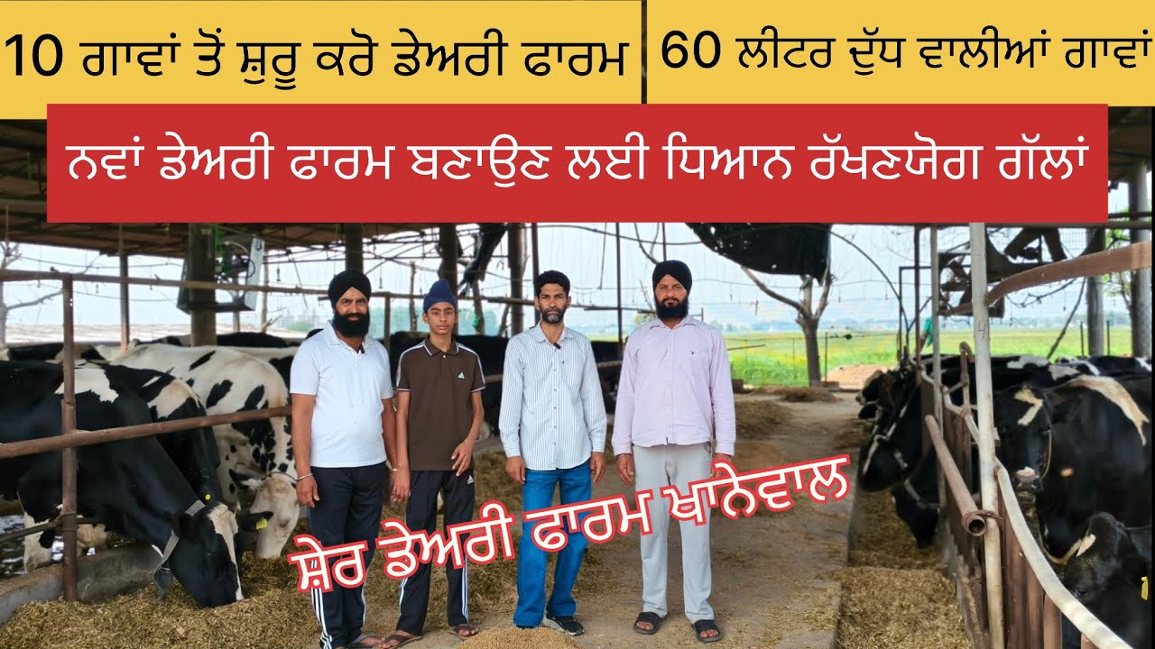 10 ਗਾਵਾਂ ਤੋਂ ਸ਼ੁਰੂ ਕਰੋ ਨਵਾਂ ਡੇਅਰੀ ਫਾਰਮ, 60 ਲੀਟਰ ਦੁੱਧ ਵਾਲੀਆਂ ਗਾਵਾਂ ਦਾ ਫਾਰਮ how start new dairy farm 