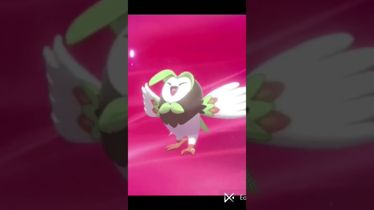 POK&Eacute;MON ROWLET EVOLUTION AMAZING #subscribe #pokefans