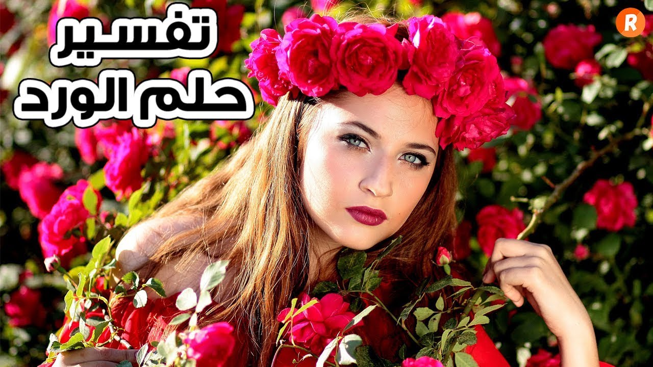 تفسير حلم الورد ما معنى رؤية الورد في الحلم ؟ وما تفسير ألوانه ؟ سلسلة تفسير الأحلام