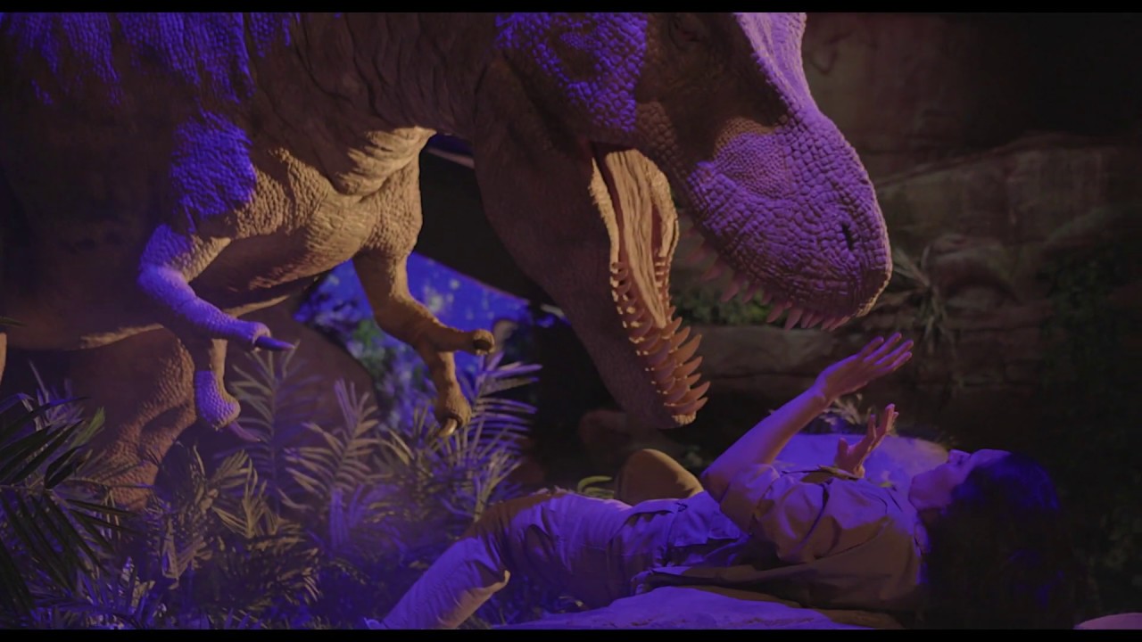 Din&oacute;polis Spot 2019