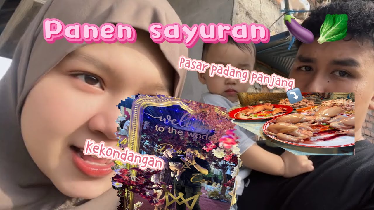 Panen sayuran!! Ada apa aja ya?!