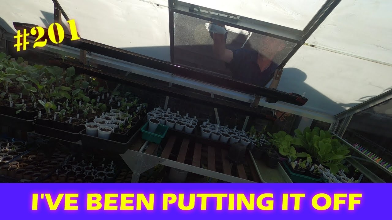 # 201 | Can you see me | the job that must be done | chris in the garden.