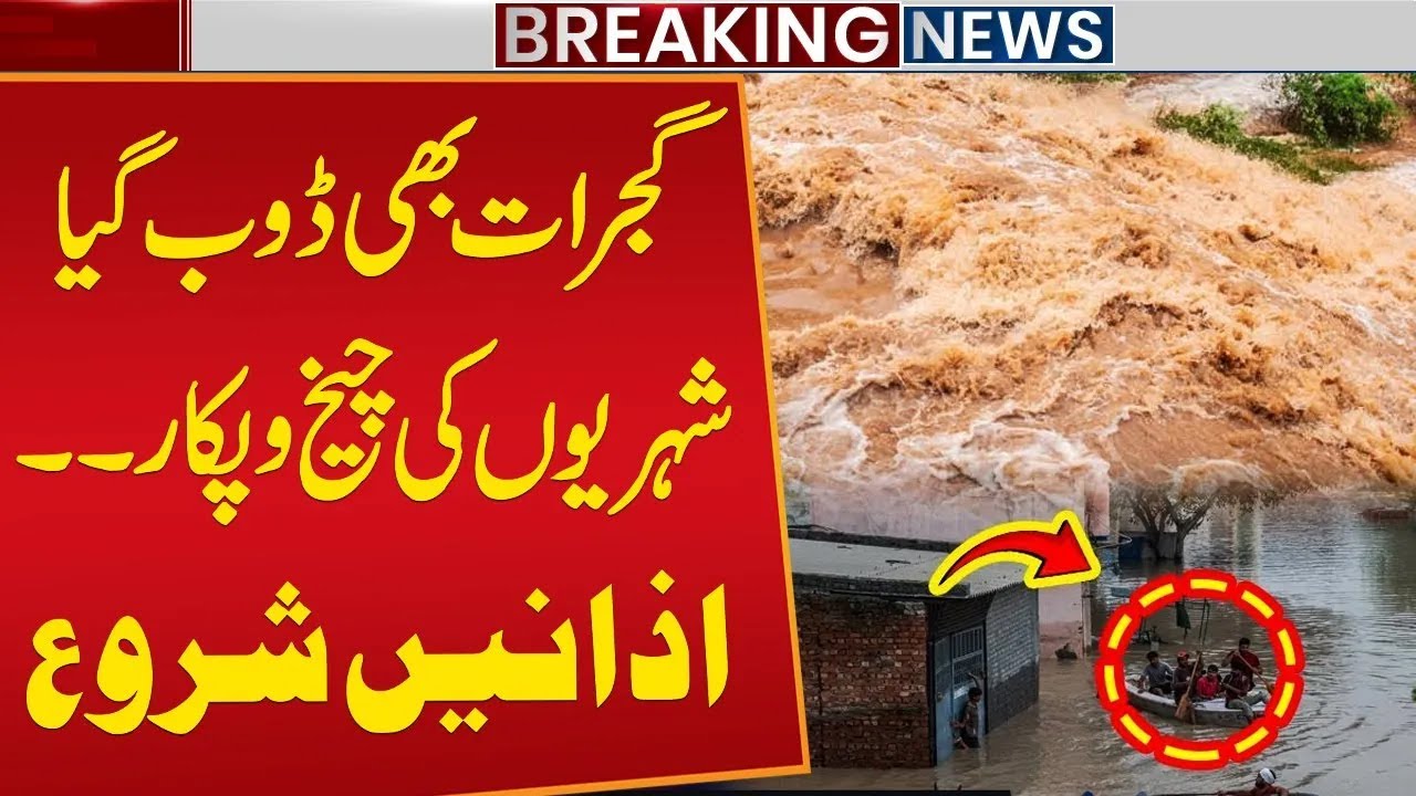 Flood in Gujrat: Heavy Rainfall And Urban Flooding In Gujarat | Flood Latest Update | Public News