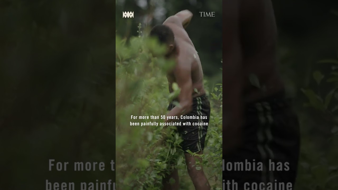 Can a Guerrilla Group Help Solve Colombia's Cocaine Conflict?