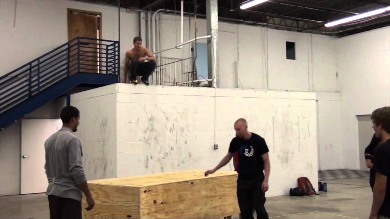 'Fight or Flight Academy Construction'