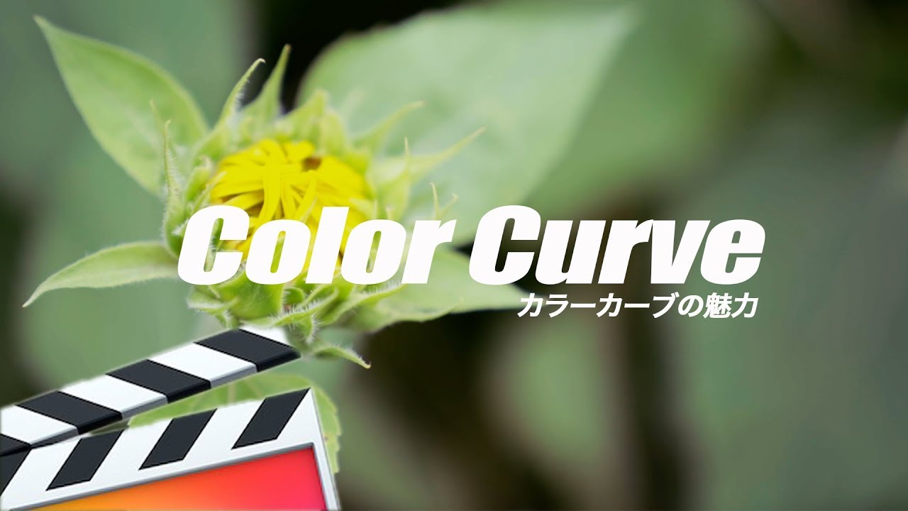 オシャレ動画必須知識!!ファイナルカットプロ＊カラーの基礎(FinalCutPro)