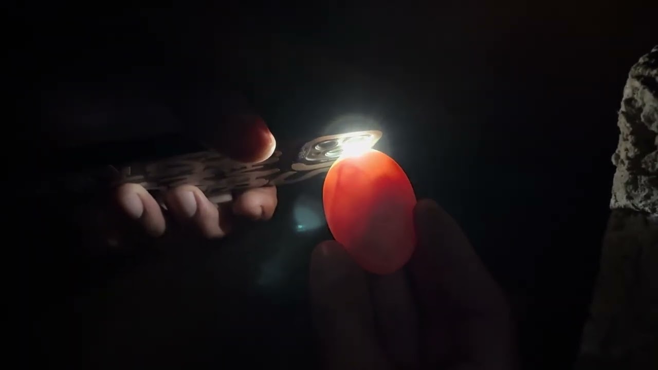 نفحص بيض البط المصري بالكشاف ومعرفه البيض المخصب والغير مخصب👍🥚🧐